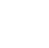 Our attorneys specialise in various legal and technical disciplines